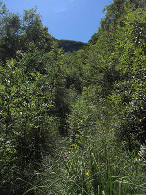 alpe tedesco strologo seconda parte