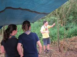 girinvalle 2011 scout