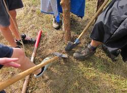girinvalle 2011 scout
