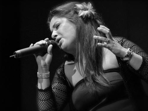 v-factor 2011