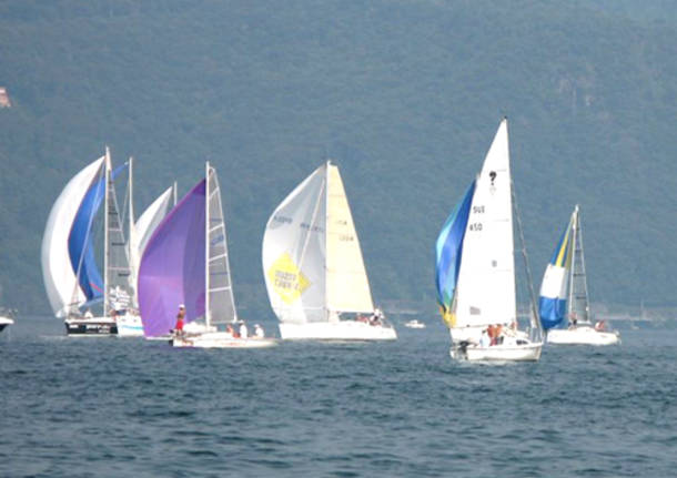 vela regata mazzarditi barche lago maggiore