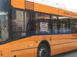 autobus foto