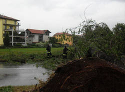busto arsizio alberi caduti luglio 2011