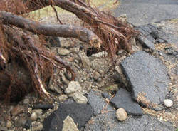 busto arsizio alberi caduti luglio 2011