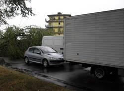 busto arsizio alberi caduti luglio 2011
