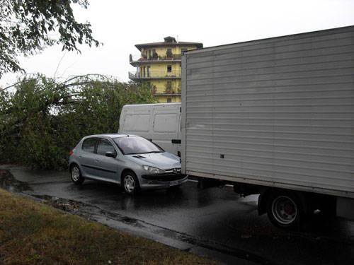busto arsizio alberi caduti luglio 2011