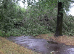 busto arsizio alberi caduti luglio 2011