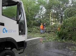busto arsizio alberi caduti luglio 2011