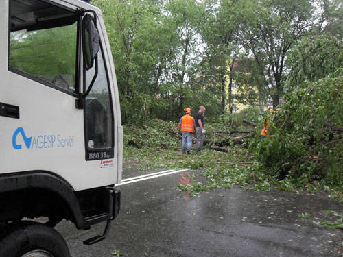 busto arsizio alberi caduti luglio 2011