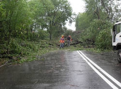 busto arsizio alberi caduti luglio 2011