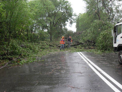 busto arsizio alberi caduti luglio 2011