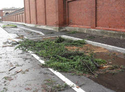 busto arsizio maltempo alberi rotti luglio 2011