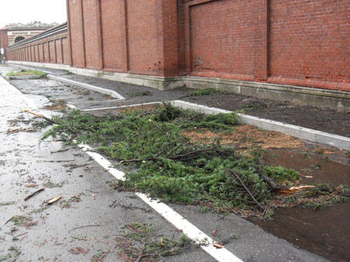 busto arsizio maltempo alberi rotti luglio 2011