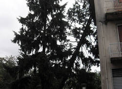 busto arsizio maltempo alberi rotti luglio 2011