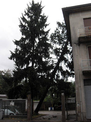 busto arsizio maltempo alberi rotti luglio 2011