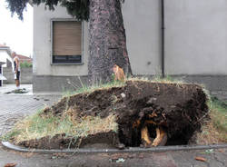 busto arsizio maltempo alberi rotti luglio 2011