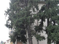 busto arsizio maltempo alberi rotti luglio 2011