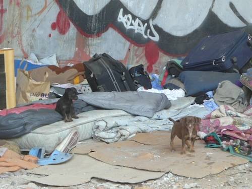 campo nomadi via pacinotti