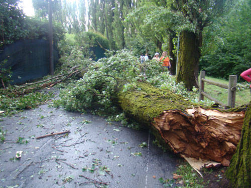 capolago alluvione grandine luglio 2011