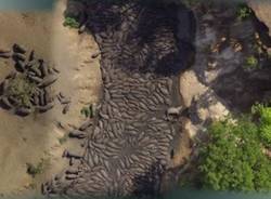 Google Earth