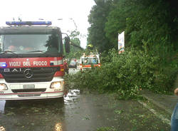 grandinata 13 luglio 2011 varese albero caduto viale europa