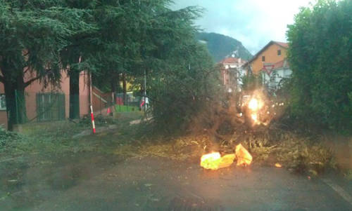 grandinata asilo arcisate fuoco