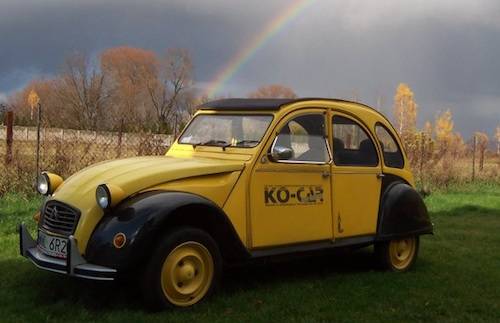 raduno 2cv