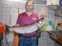 trota 10 chili verbano