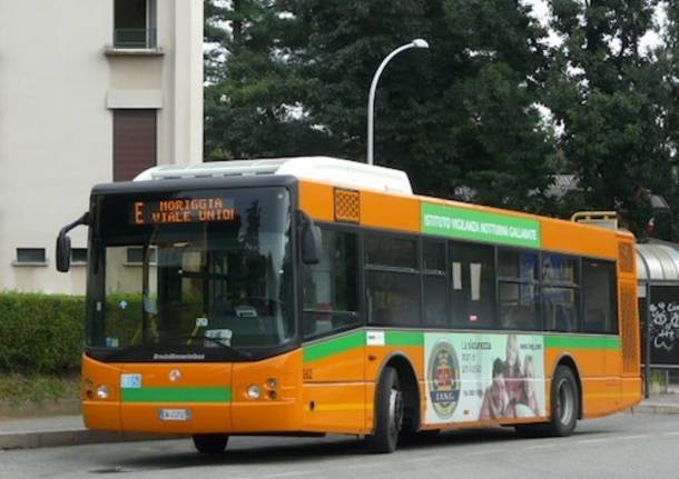 autobus pullman pulman gallarate 