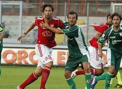 avellino varese 2011