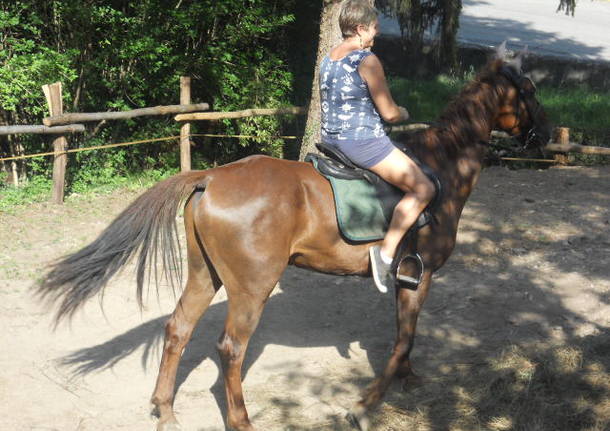 Cavalcata !