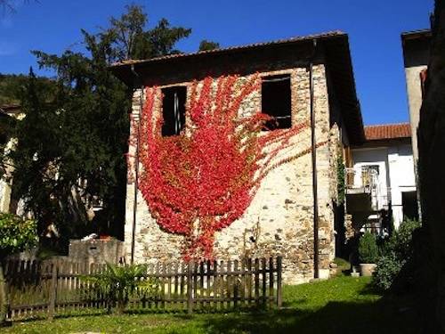 cugliate fabiasco