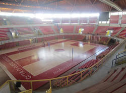 palayamamay lavori europei pallavolo agosto 2011