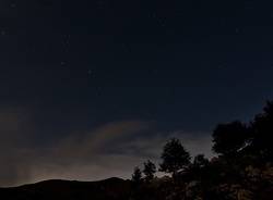 stelle cadenti 2011
