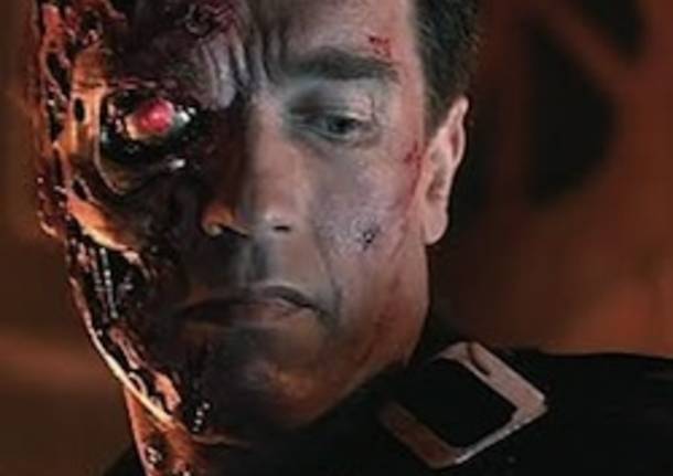 terminator swarzenegger