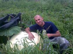 zucca da record casalzuigno