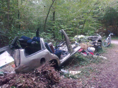 auto nel bosco rifiuti besnate