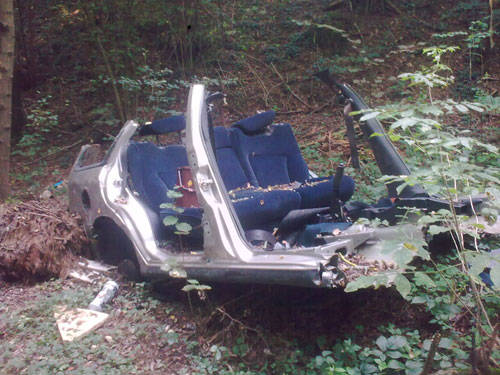 auto nel bosco rifiuti besnate