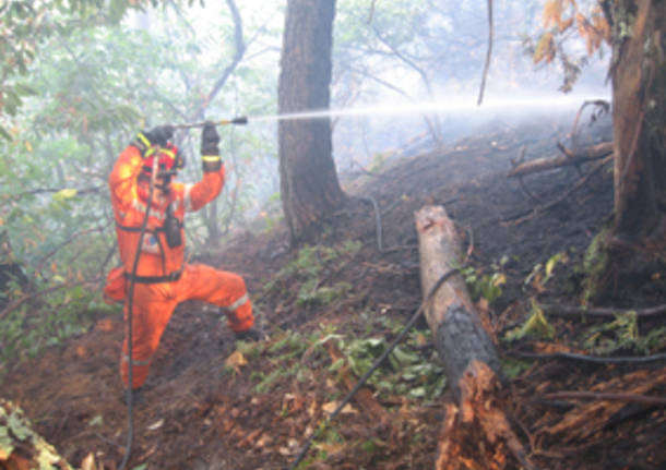 coav incendio liguria