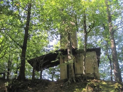 insubria gusto evento cascina diodona