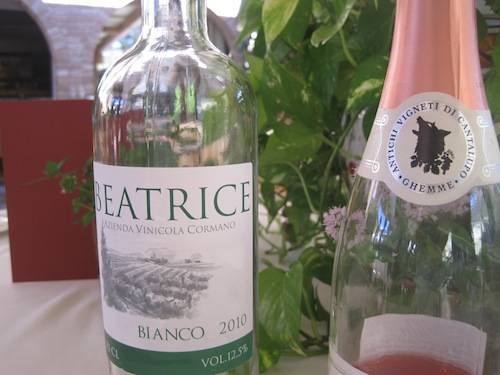 insubria gusto evento cascina diodona