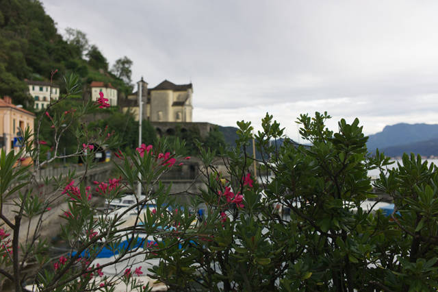 Oleandri di Maccagno