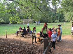 parco pineta bembini settembre 2011