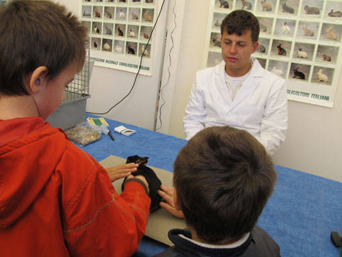 agrivarese 2011 animali