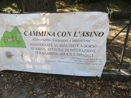 agrivarese 2011 animali