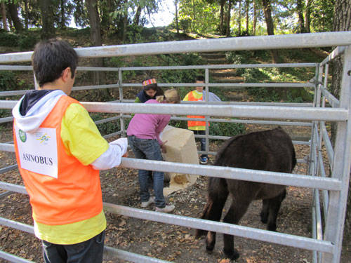 agrivarese 2011 animali