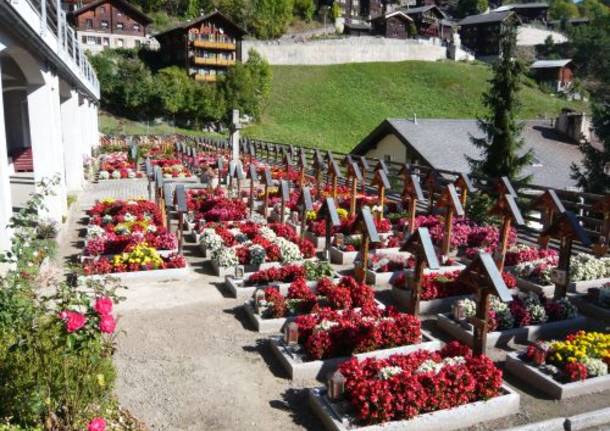 ancora cimitero democratico