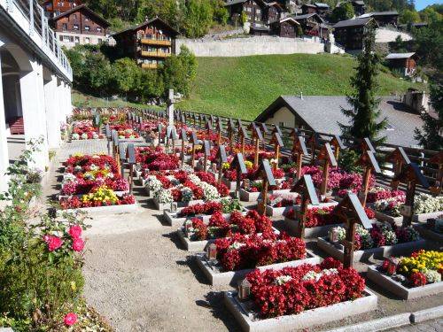 ancora cimitero democratico