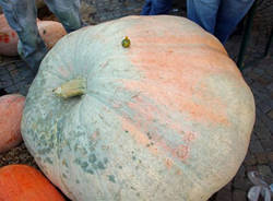 festa zucca agra 2011