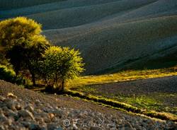 l'eroica gara ciclistica franco aresi
